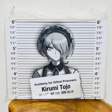 뉴 단간론파 V3 라쿠텐 컬렉션 A상 캔버스 아트 토죠 츠미키