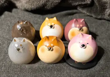 강아지 만쥬 6종 세트