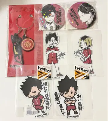 하이큐 키링 합동 연습회 네코마 쿠로오 케나마 캔뱃지 스티커
