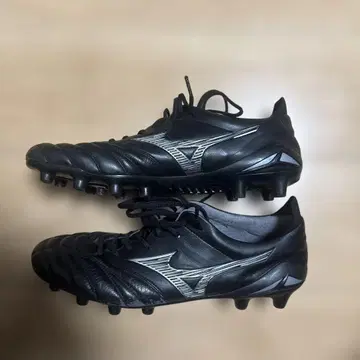 [레어 컬러] 모렐리아 Neo 4 블랙