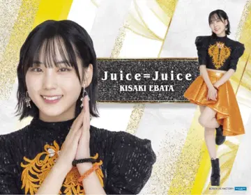 픽처 보드 SR 32 에바타 히사키