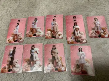 노기자카 모바카 4기