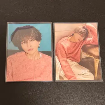 야기 유세이 쭉쭉 트레이딩 카드