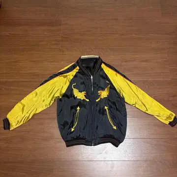 보야 하루미치 모델 스카잔