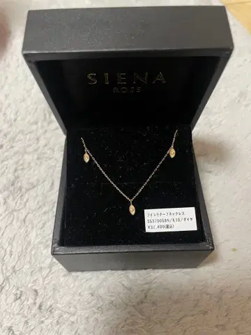 SIENA ROSE K10 골드 목걸이