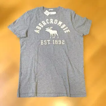 Abercrombie & Fitch 그레이 T셔츠 L
