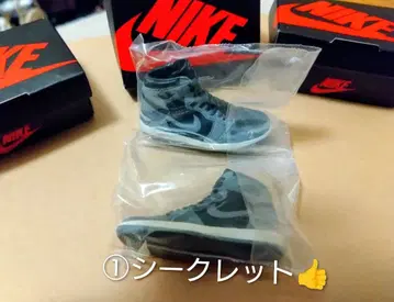 1 NIKE 신발 미니어처 시크릿