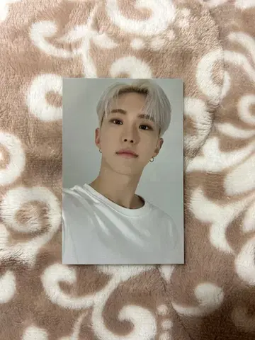 SEVENTEEN 호시 트레이딩 카드