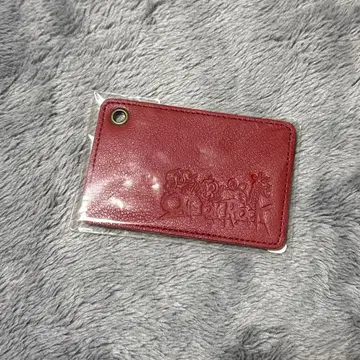 ONE OK ROCK 패스 케이스