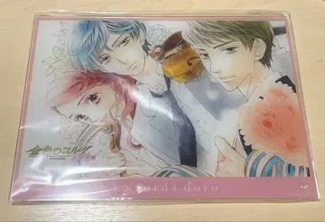 금색의 코르다 히노 카호코 츠키모리 렌 츠치우라 료타로 아크릴 보드