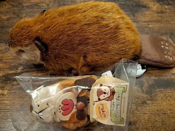 슈퍼 비버쨩, 달라붙고 싶은 비버 세트