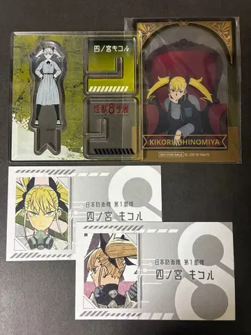 괴수 8호 시노미야 키코루