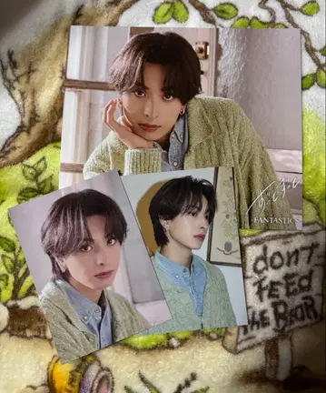 기무라 케이토 아더 자켓 트레이딩 카드