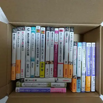 BL 소설 묶음 판매 23권