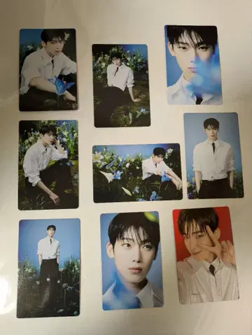 ENHYPEN 선우 walk the line final 트레이딩 카드