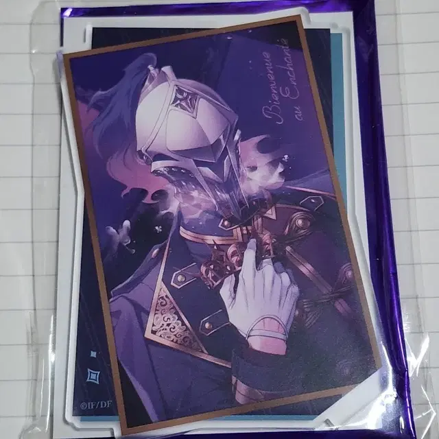 안샨테 카누스 아크릴스탠드