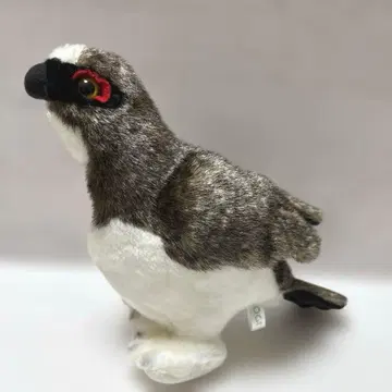 10C+1 라이초 봉제 인형 여름털