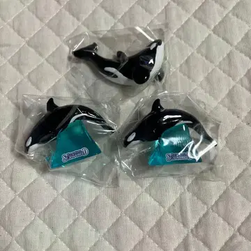 카모가와 씨월드 범고래 시크릿 피규어 마그넷
