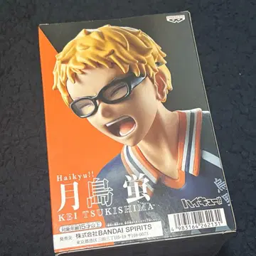 하이큐!! 츠키시마 케이 피규어 미개봉 BANDAI 타카가 블록 잇폰