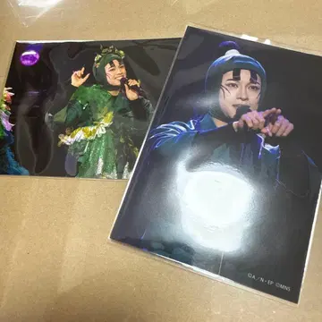 닌뮤 롯칸 브로마이드 타치바나 센조