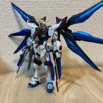 RG 스트라이크 프리덤 건담 티타늄 피니쉬 정크제품