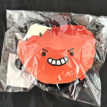 WayV V 샤오쥔 리버서블 봉제 인형 키링 미개봉 새상품