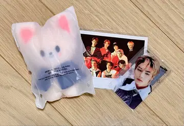 [ 새상품 미개봉 ] SKZOO 봉제 인형 폭시니