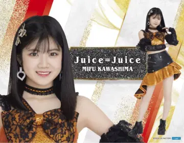 픽처보드 SR 35 카와시마 미카