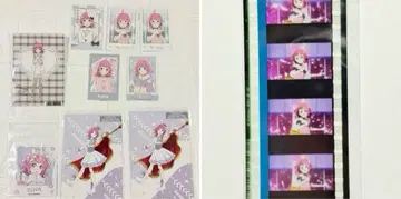 러브 라이브! 니지가사키 학원 스쿨 아이돌 동호회 테노지 리나 묶음 판매