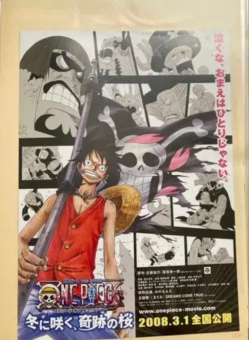 ONE PIECE 겨울에 피는 기적의 벚꽃 판촉 전단지