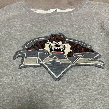 00s 태즈매니안 데빌 맨투맨 WARNER BROS 자수 XL