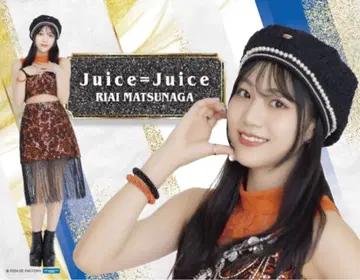 픽처 보드 SR 29 마츠나가 리아이