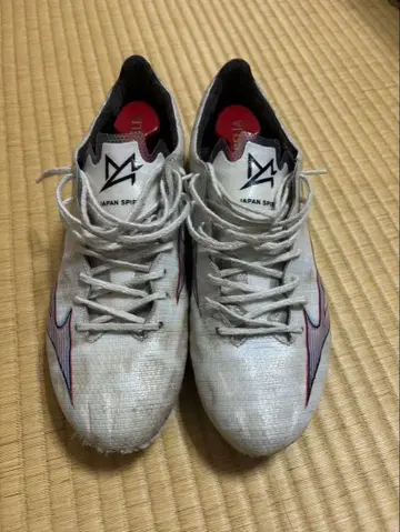 미즈노 미즈노알파 Japan 26.5cm