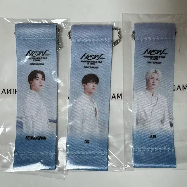 세븐틴 New_ 캡슐 플래그 키홀더 양도
