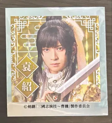 삼국지 연의 조위 스티커 홀로그램 원소