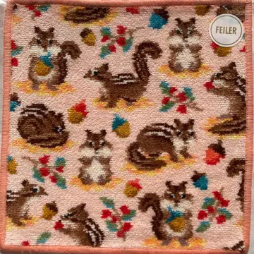 줄무늬 다람쥐 손수건