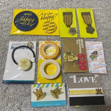 아라시 회장 한정판 니노미야 카즈나리 세트