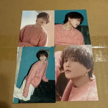 야기 유세이 쭉쭉 트레이딩 카드 4장 세트