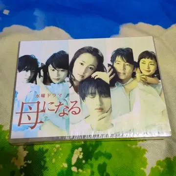 엄마가 된다 DVD-BOX (6장 구성)