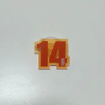 초특급 응원봉 액세서리 하루