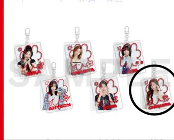 베비몬 온라인 복권 치키타 치키타 B상 D상 E상