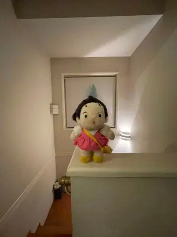 이웃집 토토로 메이짱 BIG 봉제 인형 (약 49cm)