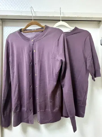 IENA 이에나 앙상블 라벤더 퍼플