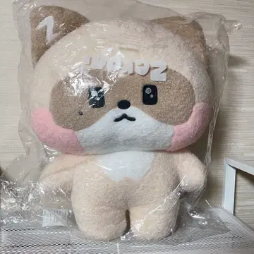 ZB1 zeroni 장하오 하니니 hanini 플랫 봉제 인형