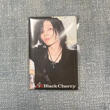 Acid Black Cherry 2009 tour 'Q.E.D.'