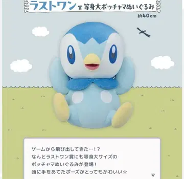 포켓몬 제일복권 라스트 원상 팽도리 등신대 봉제 인형