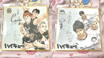 하이큐 슈바덴 아들러 색지