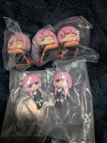 카미츠바키/카후 세트 판매