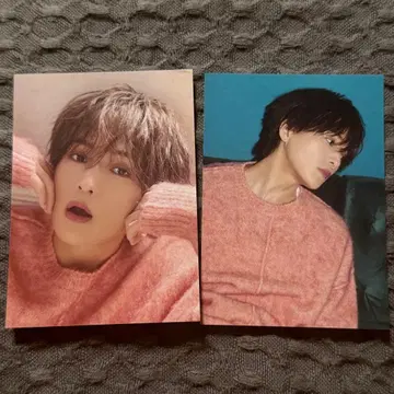 야기 유세이 트레이딩 카드