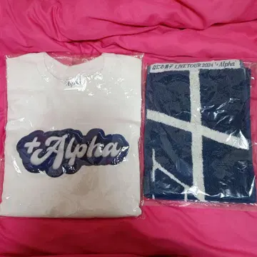 나니와단시 Alpha T셔츠 타월 세트